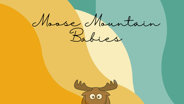 Moose Mountain Babies
